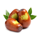 Jojoba Seed Oil