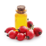 Rosehip Oil